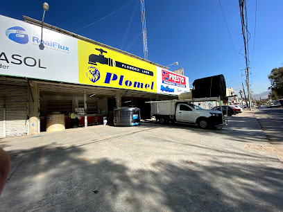 Plomel, León