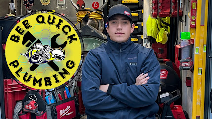 Bee Quick Plumbing & Sewer, Naperville