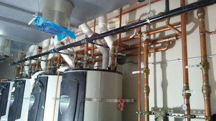 Vargas & Sons Plumbing, Reno