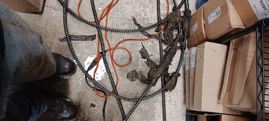 P M Drain Cleaning, Lawrence