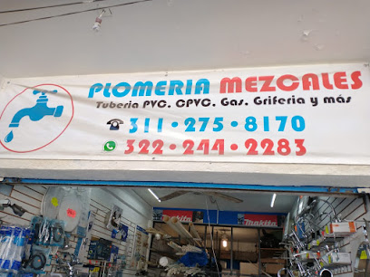 PLOMERIA MEZCALES
