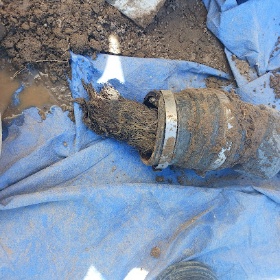 Blue Muscle Plumbing And Rooter Service